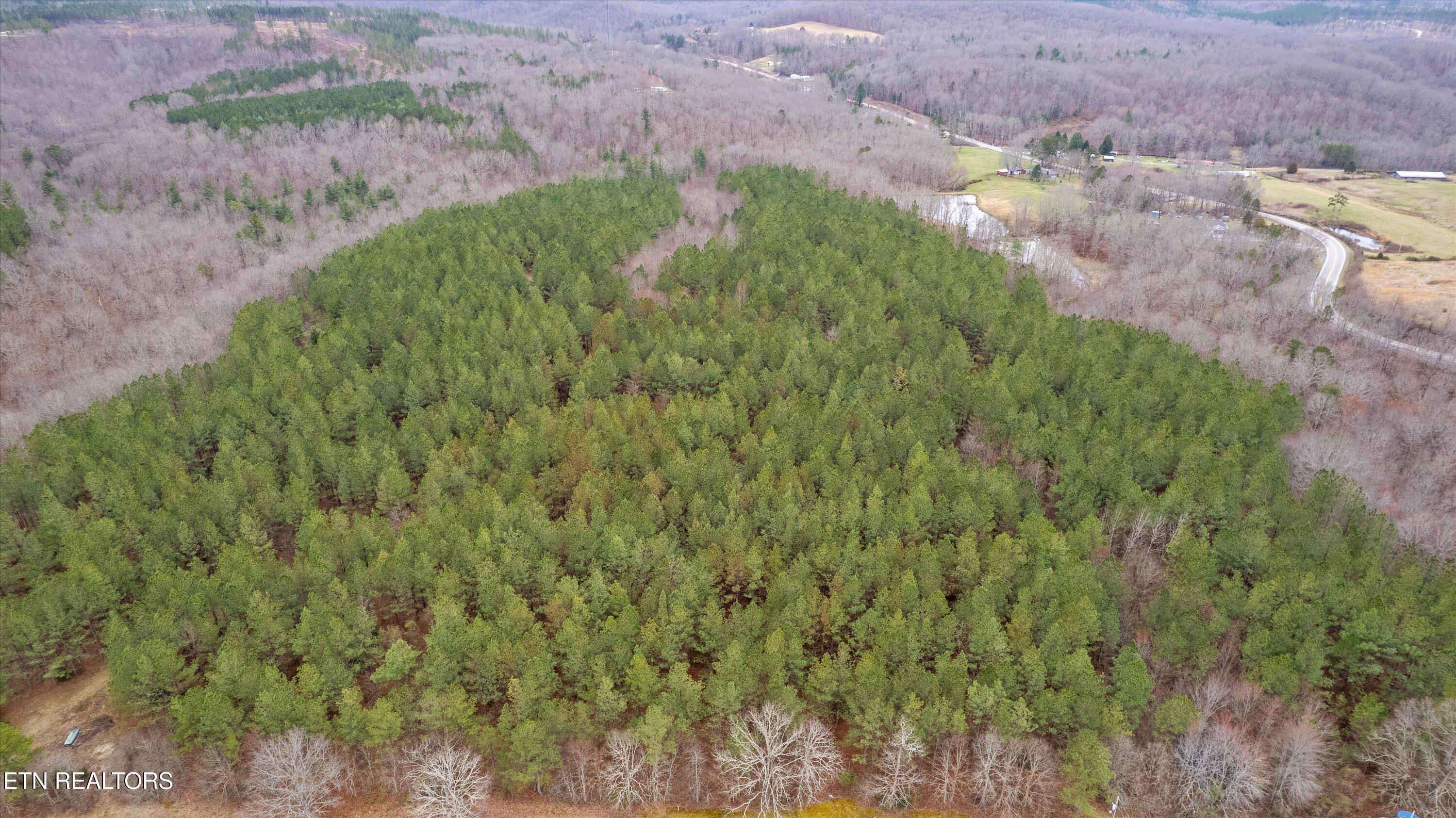 0 Morgan County Highway Sunbright, TN 37872 - Photo 12 of 16 Aerial Shot