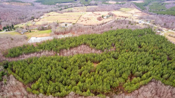 $300,000 | 0 Morgan County Highway, Sunbright, TN 37872
