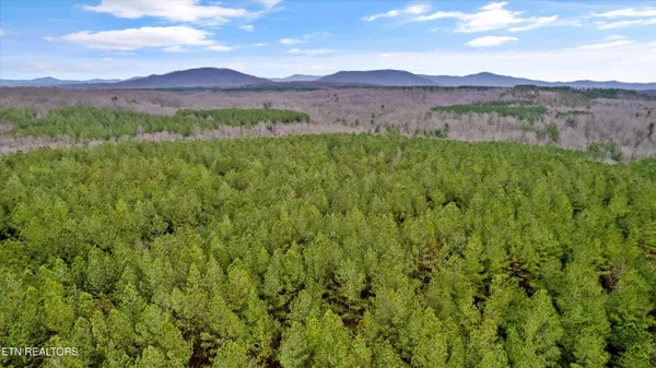 $300,000 | 0 Morgan County Highway, Sunbright, TN 37872