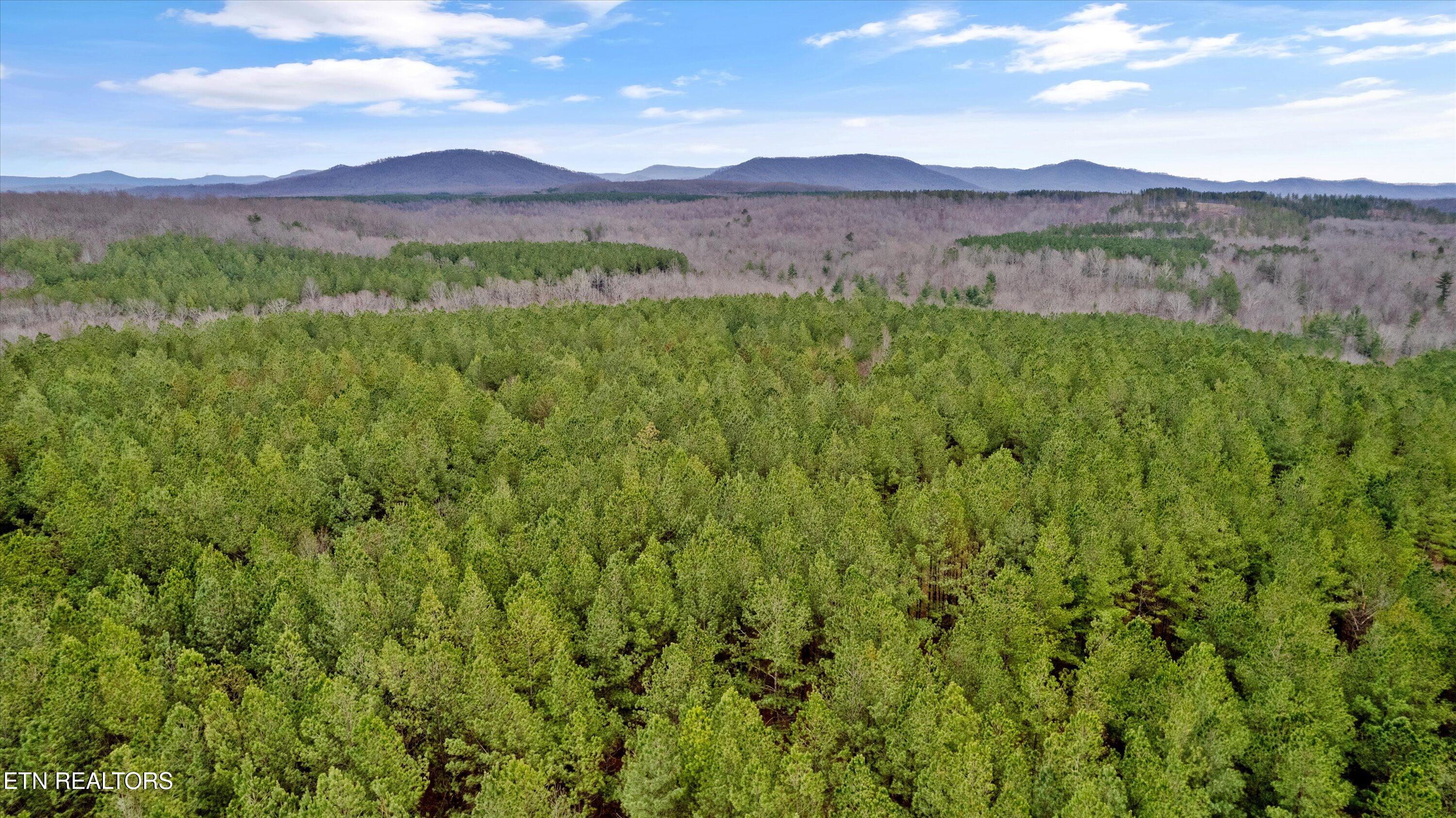 0 Morgan County Highway Sunbright, TN 37872 - Photo 6 of 16 Stunning Wooded Land