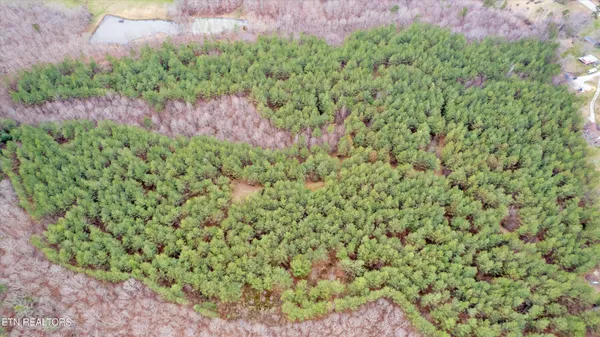 $300,000 | 0 Morgan County Highway, Sunbright, TN 37872