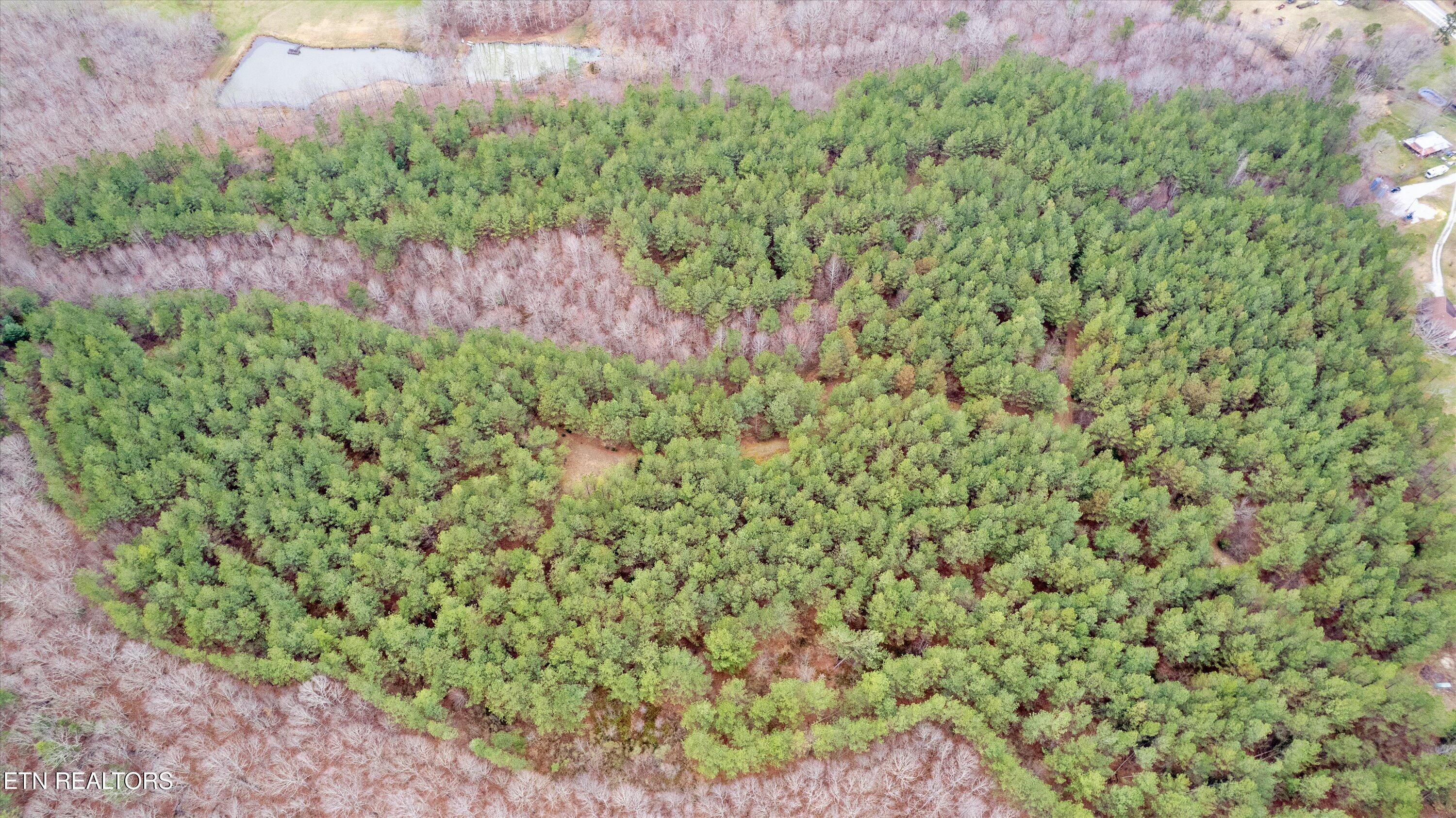 0 Morgan County Highway Sunbright, TN 37872 - Photo 9 of 16 38 Acres Land in Sunbright!