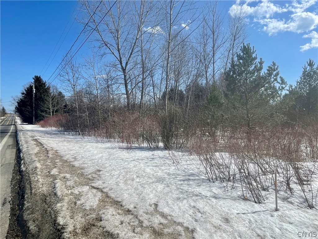 0 Co Rt 41 Mexico, NY 13114 - Photo 1 of 1