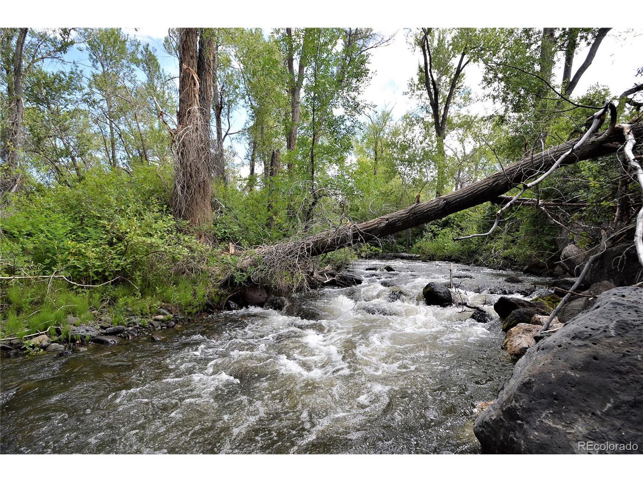 1 Southeast Willow Way Cedaredge, CO 81413 - Photo 3 of 11 a view of backyard with green space