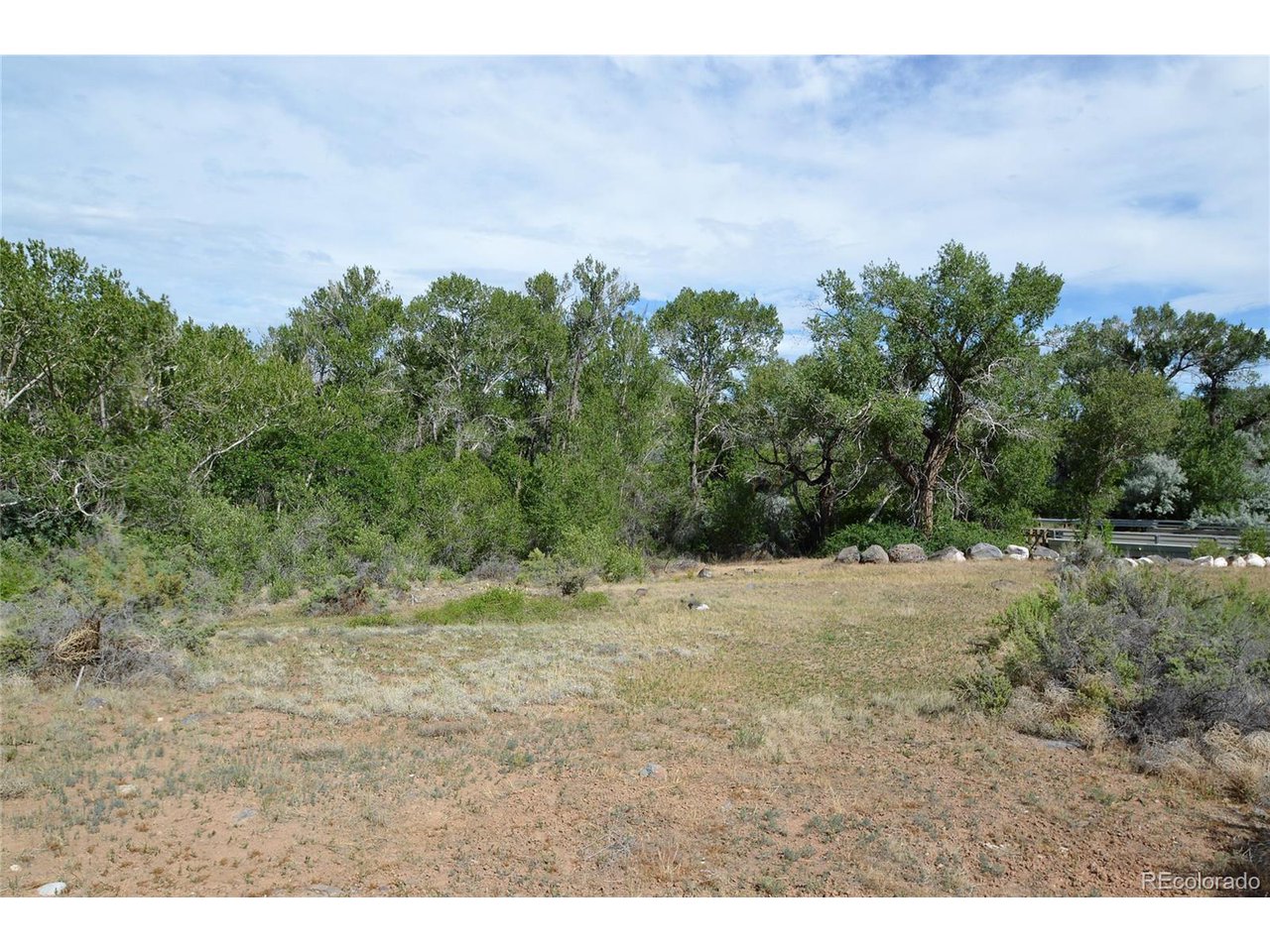 1 Southeast Willow Way Cedaredge, CO 81413 - Photo 6 of 11 a view of a dry yard with trees in the background