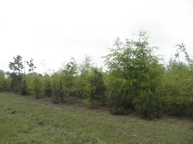 $375,000 | 0 Highway 23 Waynesboro Ga 30830, Waynesboro, GA 30830