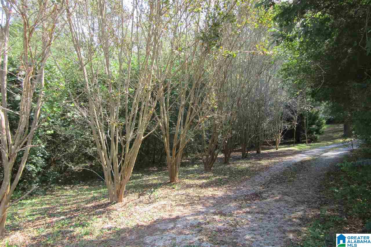 685 County Road 503 Verbena, AL 36091 - Photo 39 of 49