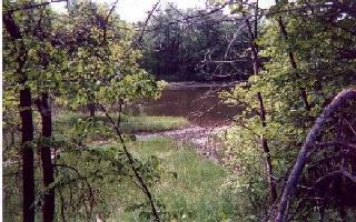 8961 River Road Manistee, MI 49660 - Photo 1 of 9 Primary Photo