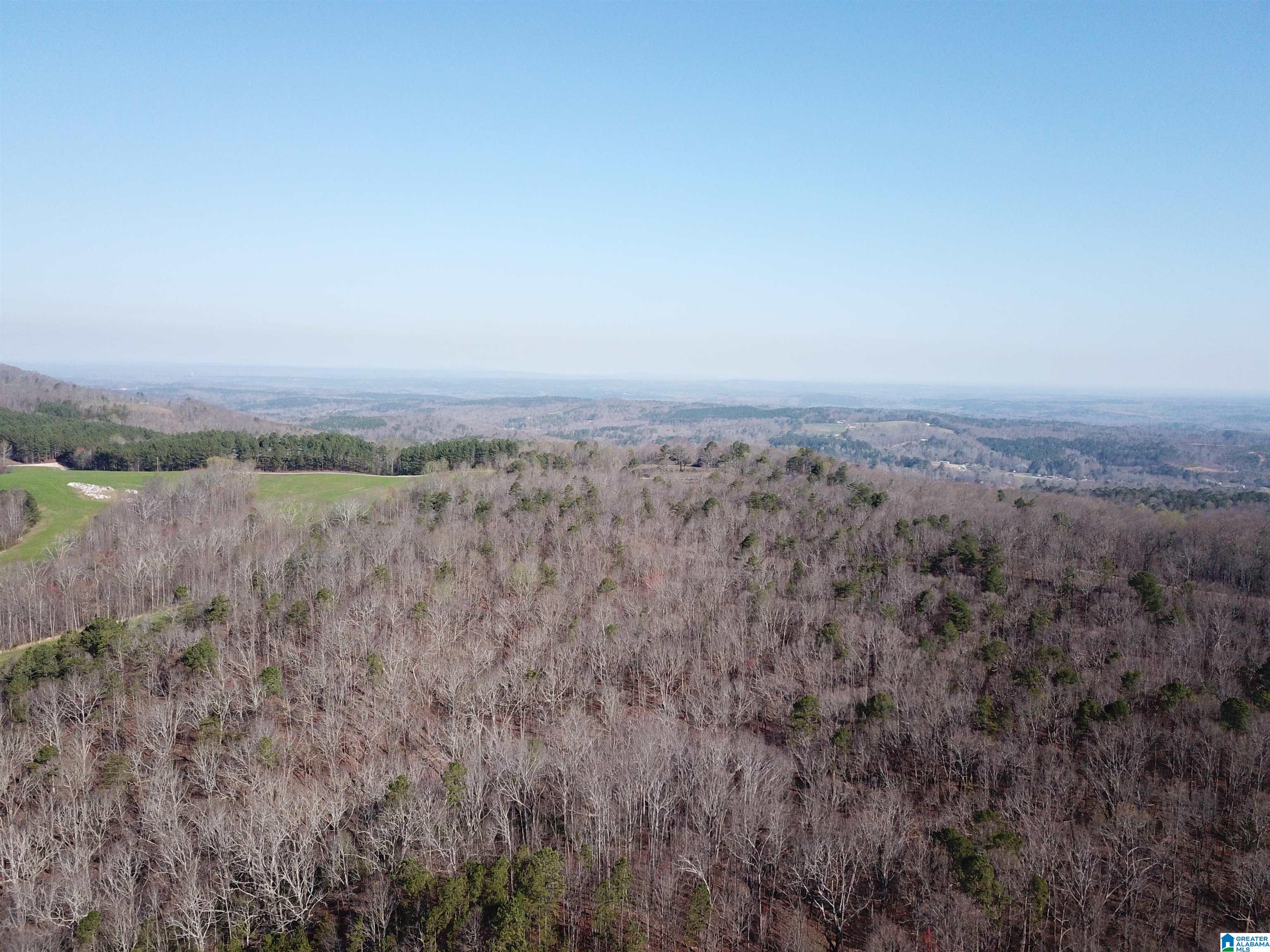 0 County Road 852, Unit 4 Ranburne, AL 36273 - Photo 16 of 19