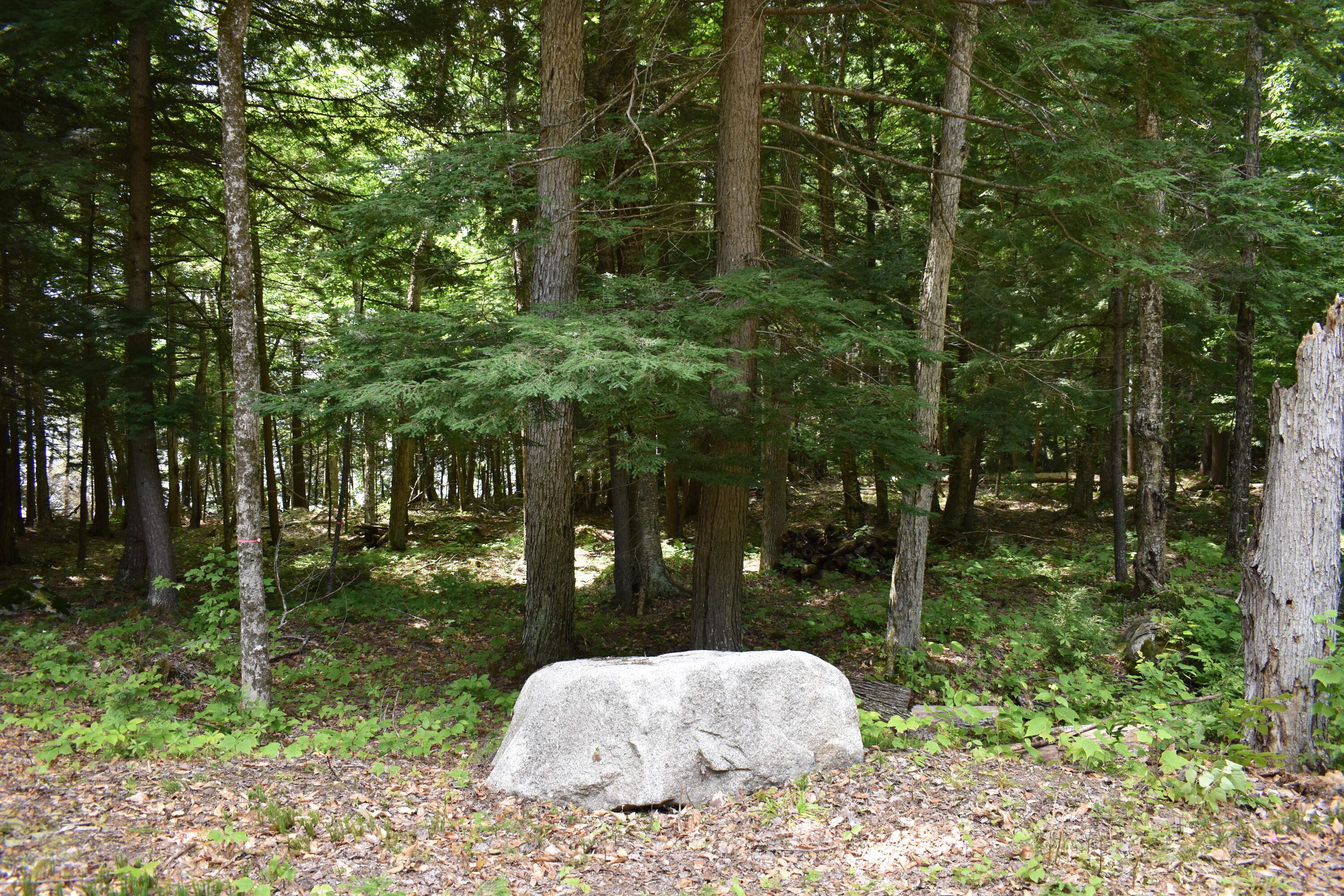 Tbd Bluff Road Enfield, ME 04493 - Photo 14 of 16 DSC_0385