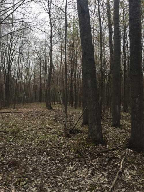 2792 Pinconning Road Rhodes, MI 48652 - Photo 3 of 13 marco3