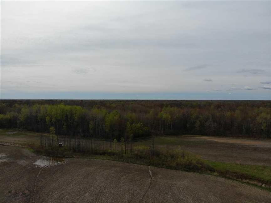2792 Pinconning Road Rhodes, MI 48652 - Photo 5 of 13 marco5