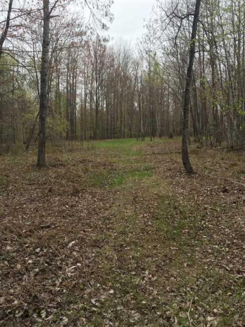 2792 Pinconning Road Rhodes, MI 48652 - Photo 8 of 13 marco9