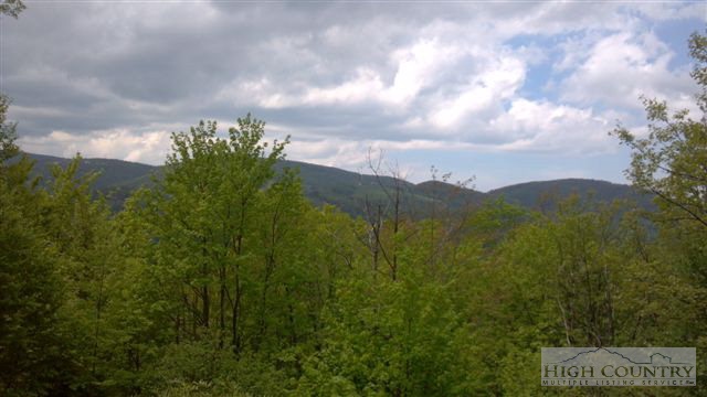 14 Chestnut Mountain Road Banner Elk, NC 28604 - Photo 2 of 7 Gallery Image 2