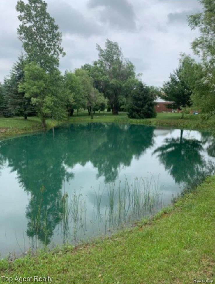 8727 Frith Road Columbus, MI 48063 - Photo 29 of 29 WhatsApp Image 2022-02-10 at 8.43
