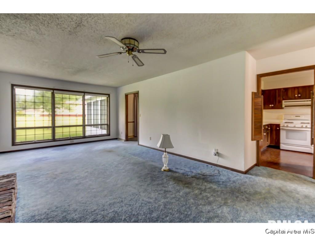 35 Country Towne Road Springfield, IL 62712 - Photo 5 of 36
