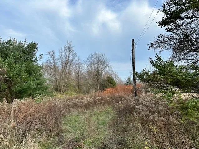 $45,000 | 8379 Green Road, West Sparta, NY 14437