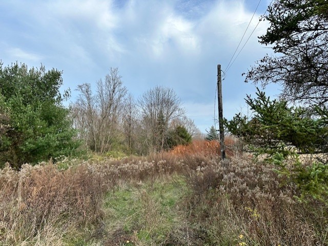 8379 Green Road West Sparta, NY 14437 - Photo 2 of 9