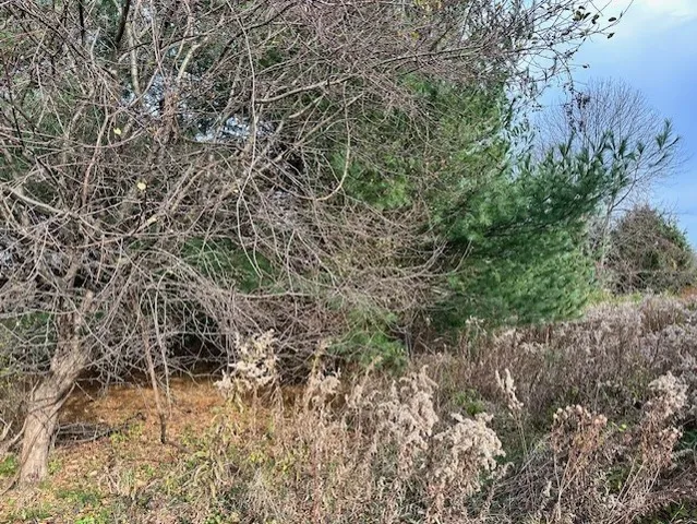 $45,000 | 8379 Green Road, West Sparta, NY 14437