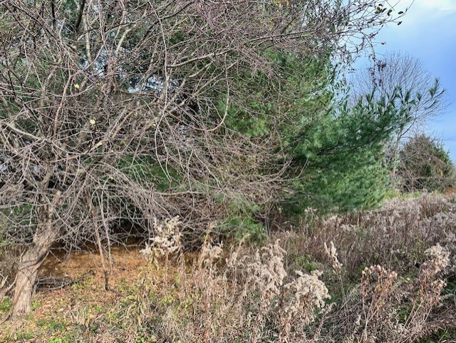 8379 Green Road West Sparta, NY 14437 - Photo 3 of 9