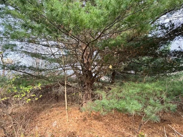 $45,000 | 8379 Green Road, West Sparta, NY 14437