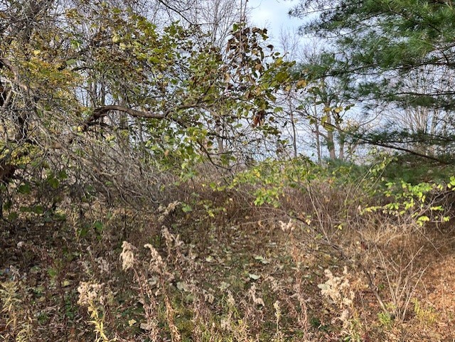 8379 Green Road West Sparta, NY 14437 - Photo 5 of 9