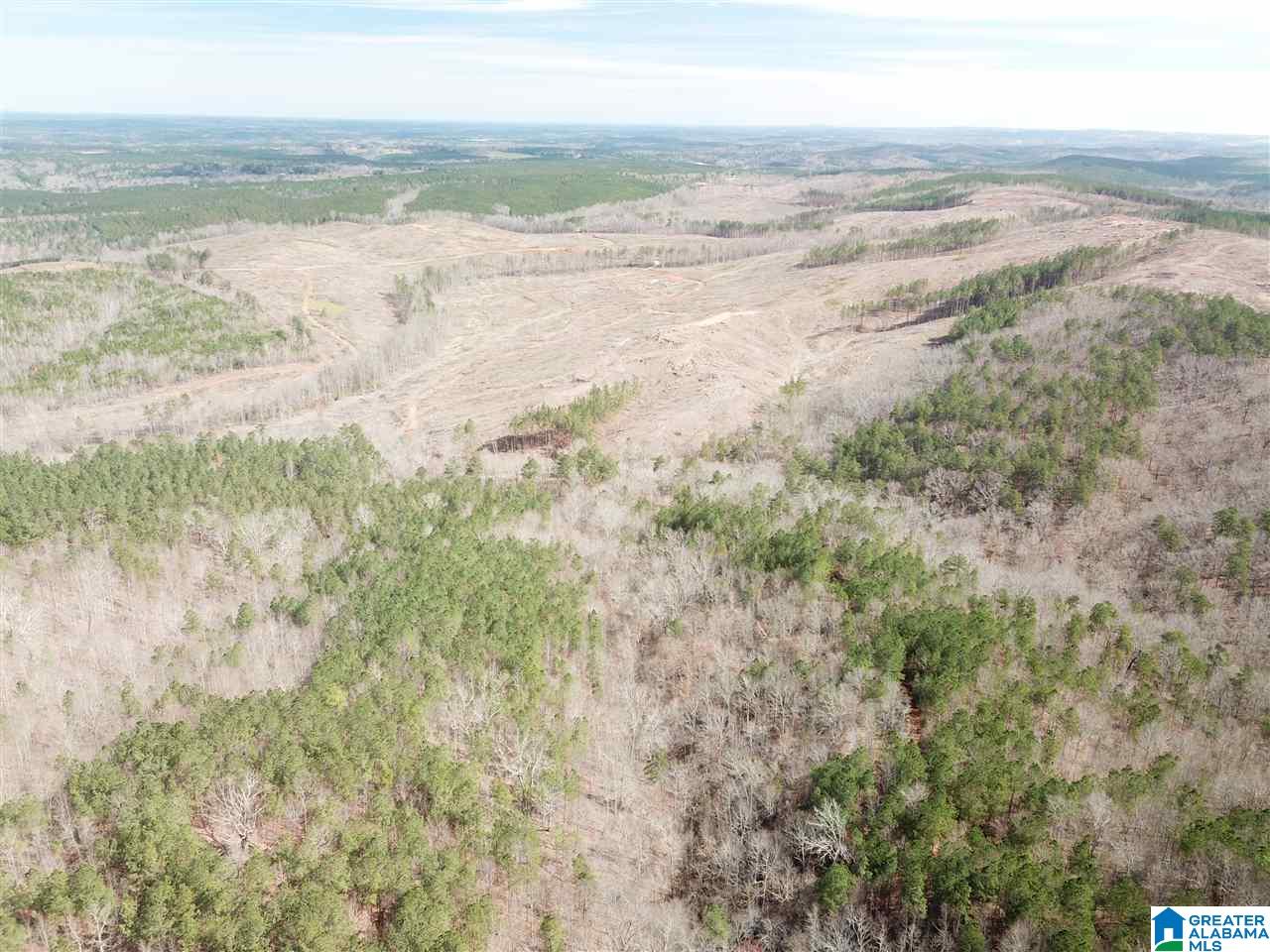 0 County Road 893 Heflin, AL 36264 - Photo 2 of 17
