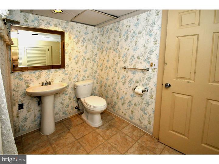1123 Hagues Mill Road Ambler, PA 19002 - Photo 19 of 25 Basement