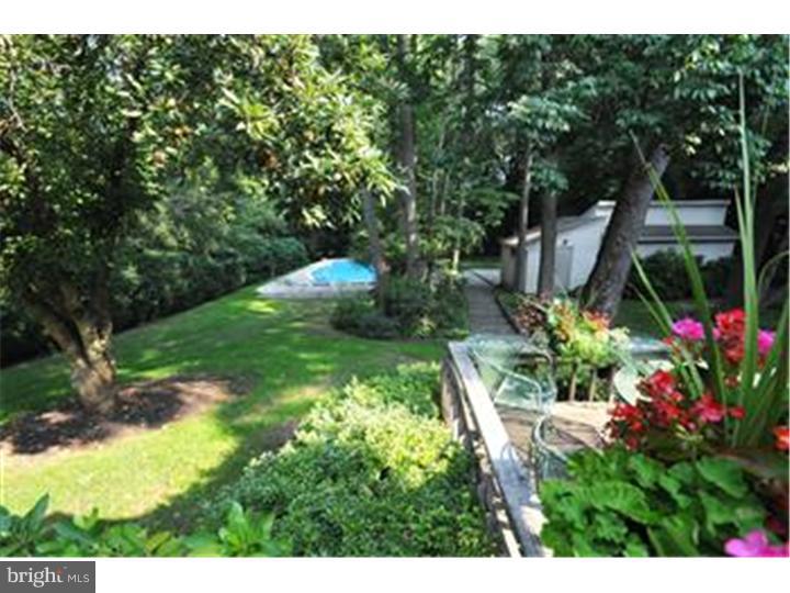 1123 Hagues Mill Road Ambler, PA 19002 - Photo 22 of 25 Back Yard
