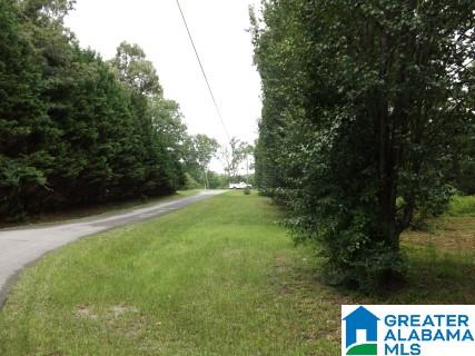 0 Perseverance Lane Odenville, AL 35120 - Photo 11 of 13