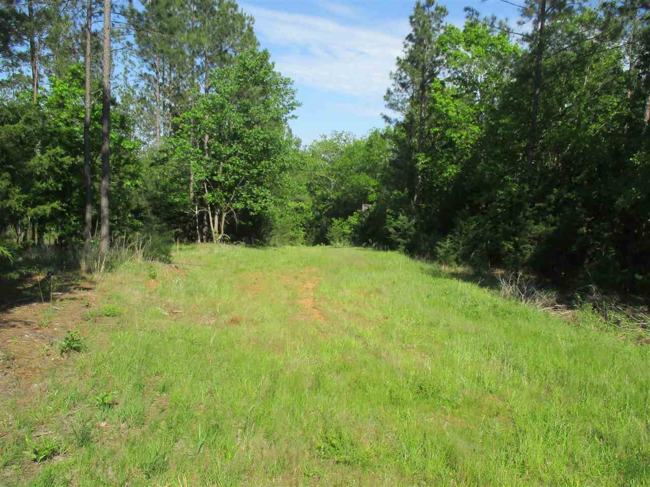 1 Sinclair Dirt Road Union, SC 29379 - Photo 2 of 6 Gallery Image 2