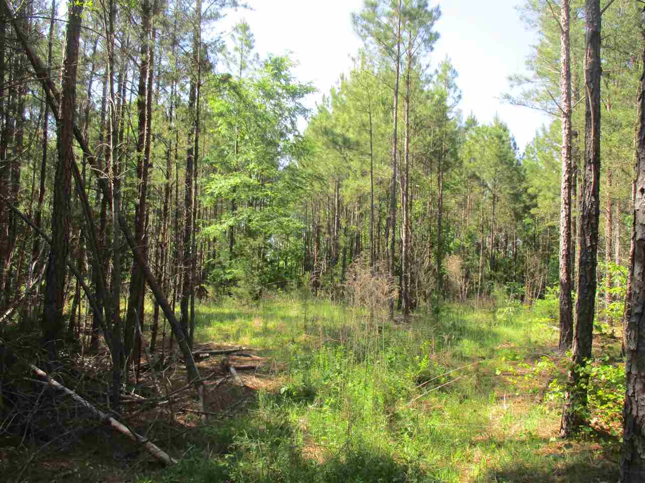 1 Sinclair Dirt Road Union, SC 29379 - Photo 3 of 6 Gallery Image 3
