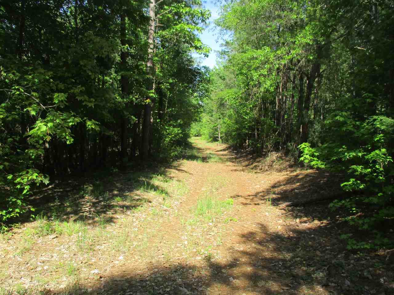 1 Sinclair Dirt Road Union, SC 29379 - Photo 5 of 6 Gallery Image 5