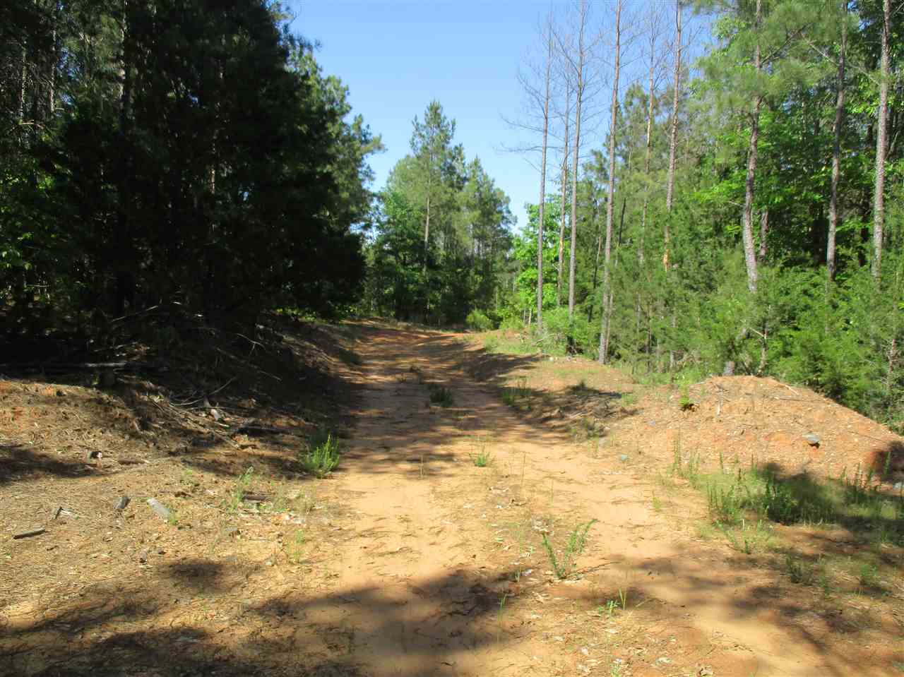1 Sinclair Dirt Road Union, SC 29379 - Photo 6 of 6 Gallery Image 6