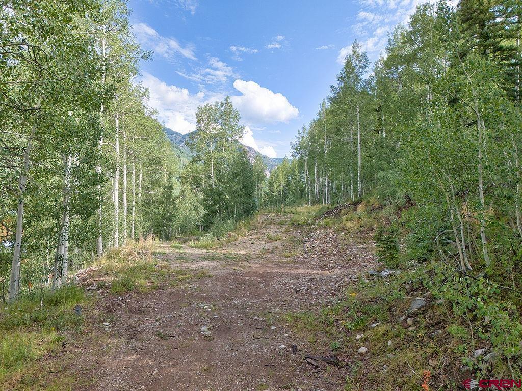 216 South Commercial Street Rico, CO 81332 - Photo 4 of 23 Gallery Image 4