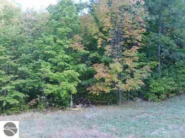 3713 East Old State Road East Jordan, MI 49727 - Photo 3 of 6 1742808-2.JPG
