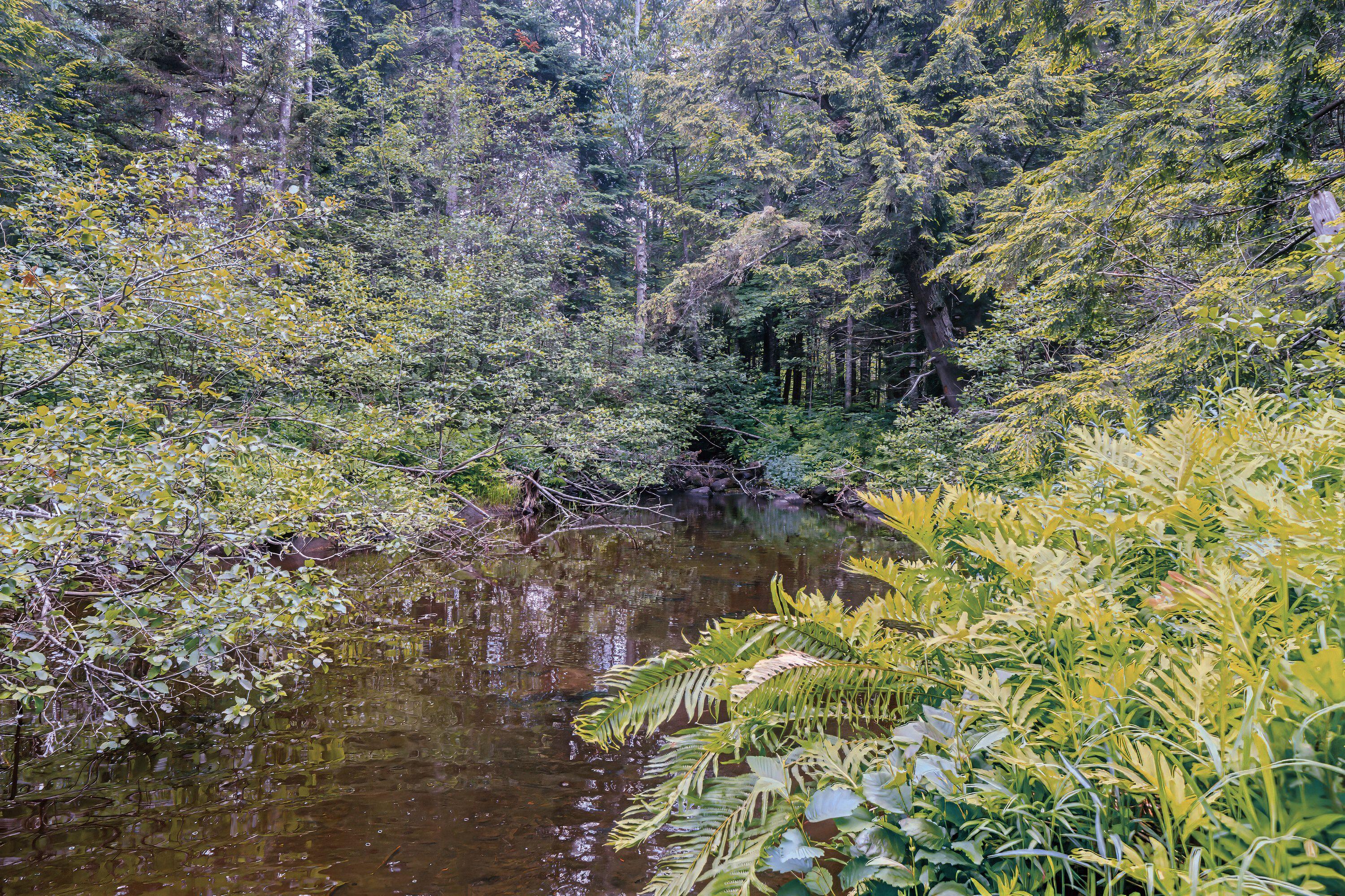 188 Page Road Jackson, ME 04921 - Photo 6 of 26 Penny Brook