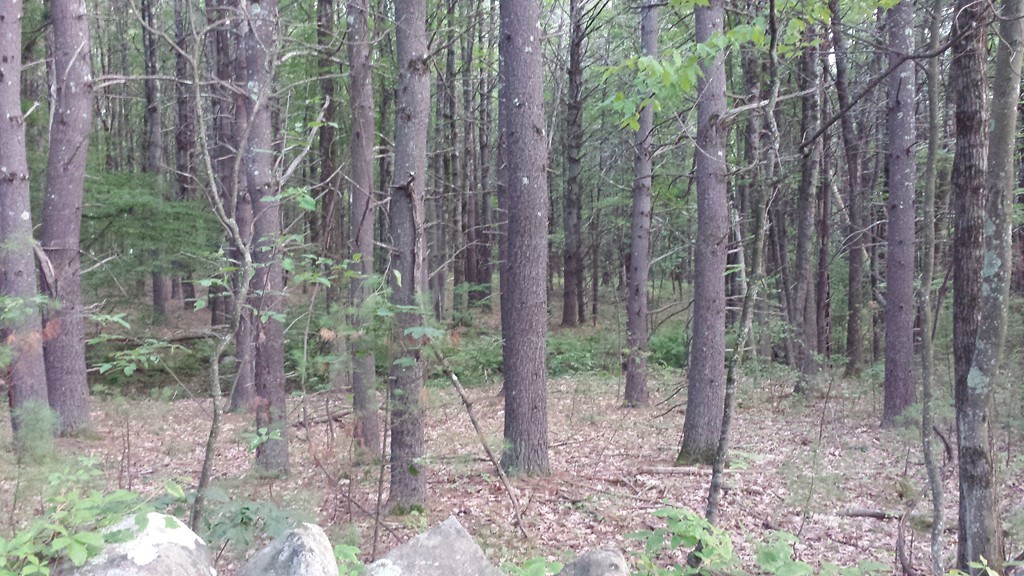 0 Meadow Road Townsend, MA 01469 - Photo 1 of 3 Gallery Image 1