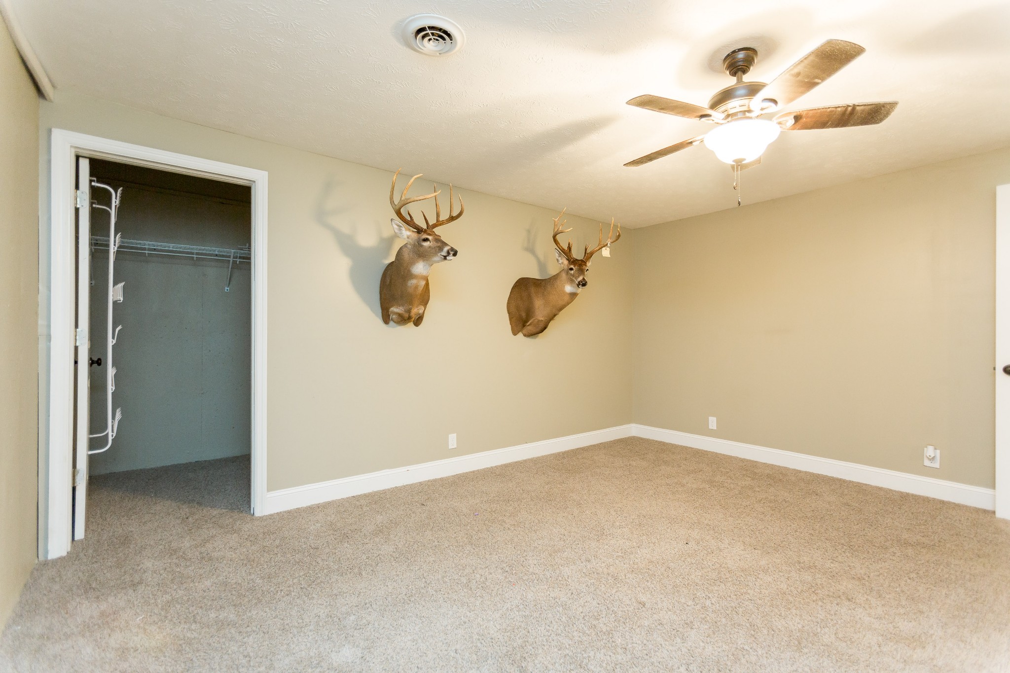 357 Blue Door Road Portland, TN 37148 - Photo 32 of 46 an empty room with windows and fan