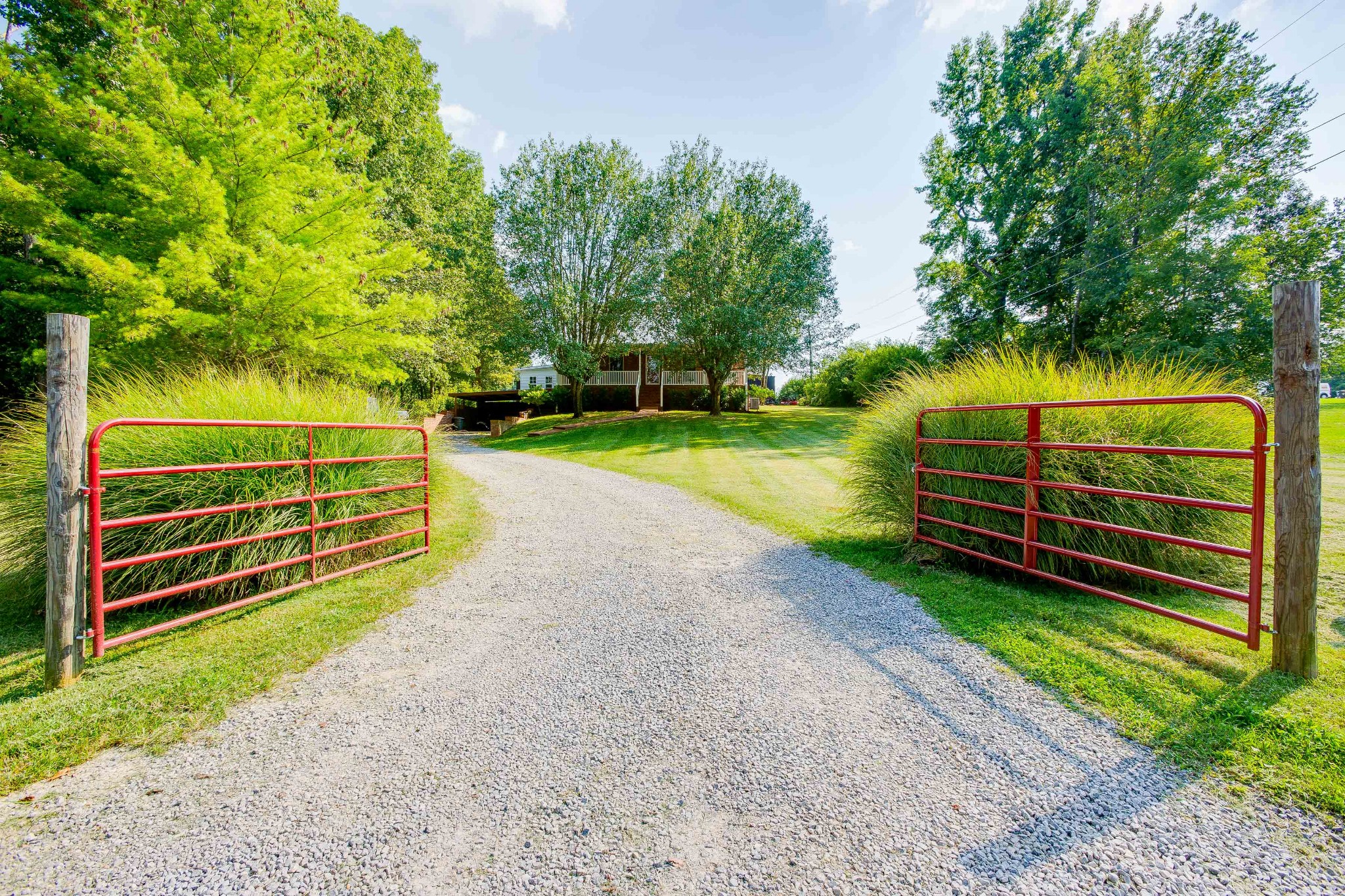 357 Blue Door Road Portland, TN 37148 - Photo 36 of 46 a view of a backyard with a small park