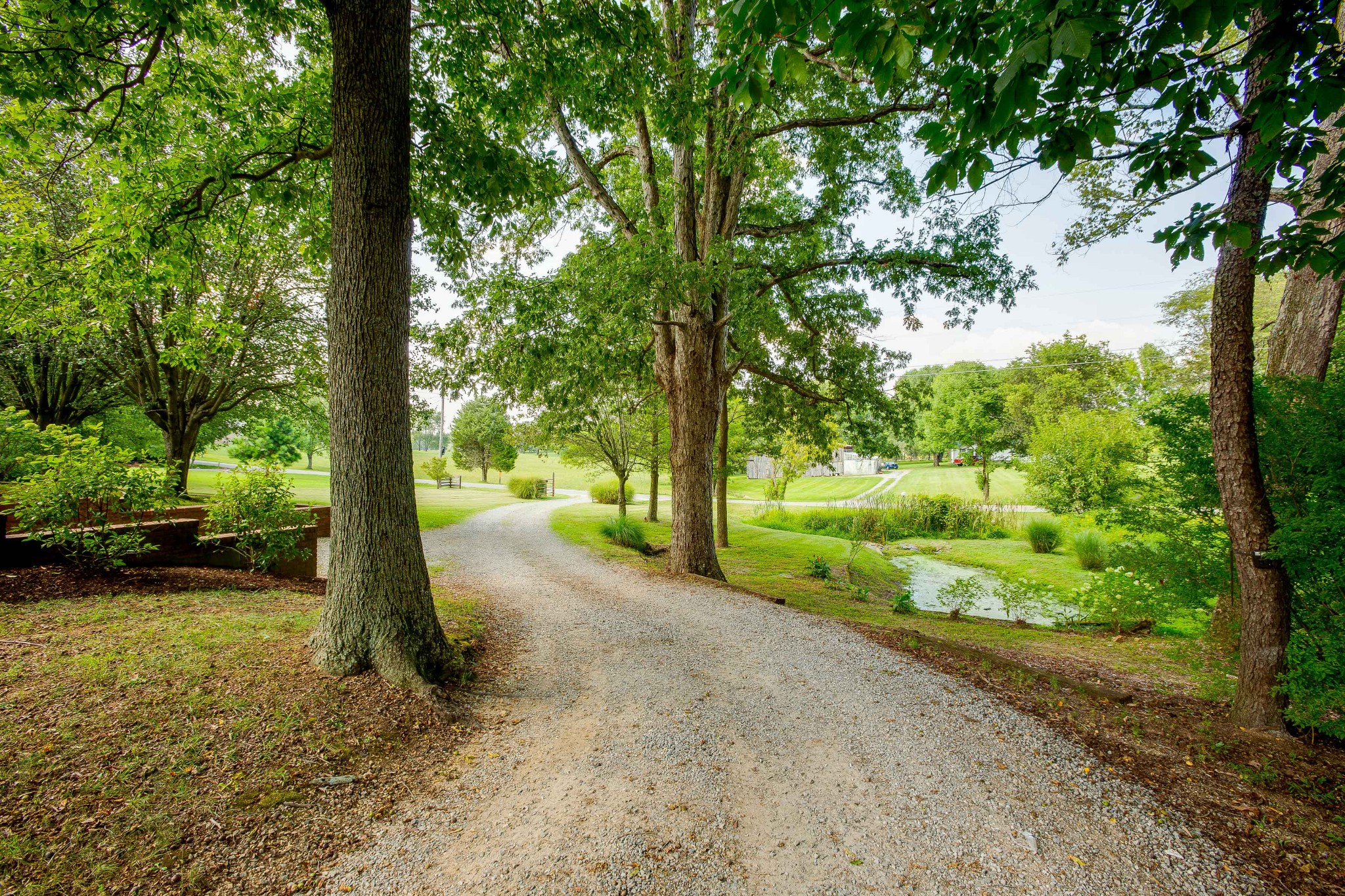 357 Blue Door Road Portland, TN 37148 - Photo 37 of 46 a view of a street with a tree