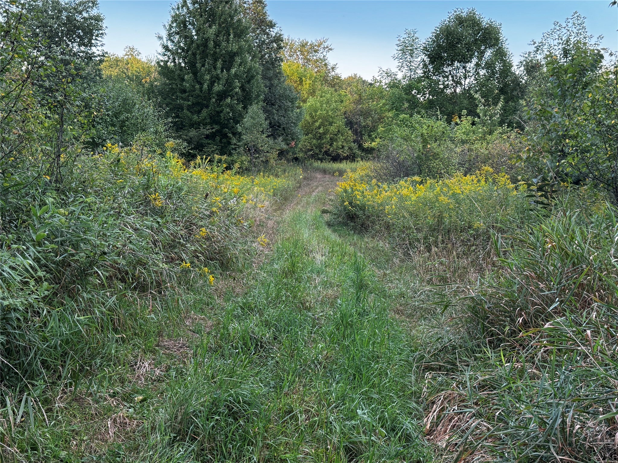 Xx 340th Avenue Frederic, WI 54837 - Photo 19 of 27 Gallery Image 19
