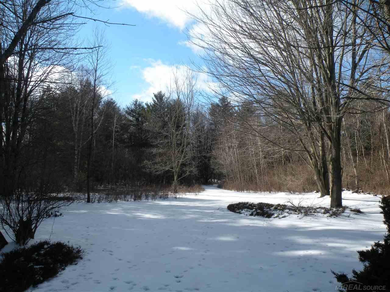 4818 Lakeshore Road Lexington, MI 48450 - Photo 7 of 30