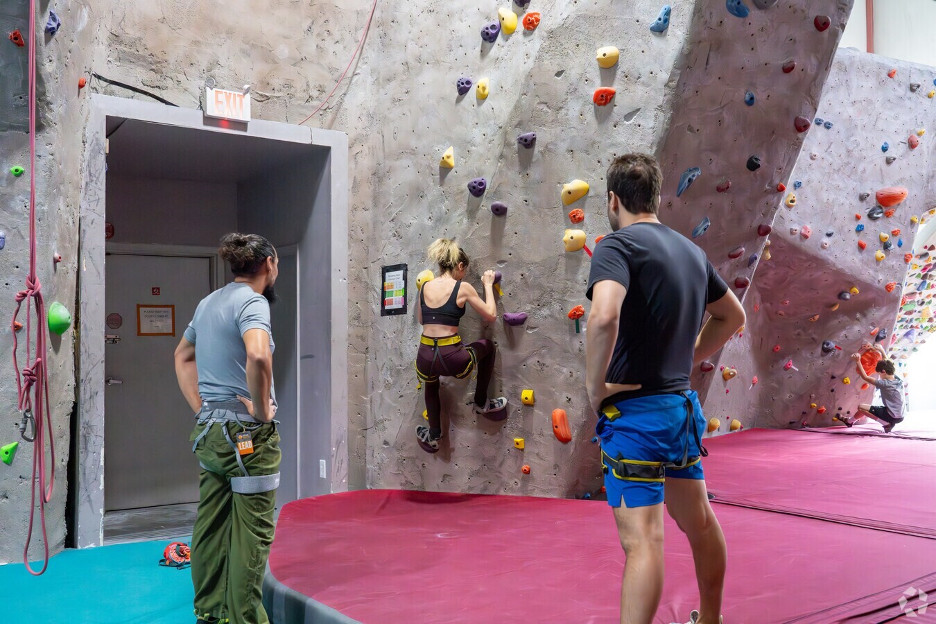 9577 Neuens Road, Unit F Houston, TX 77080 - Photo 25 of 26 Spring Branch Central rock climbing enthusiasts master their skills at Texas Rock Gym