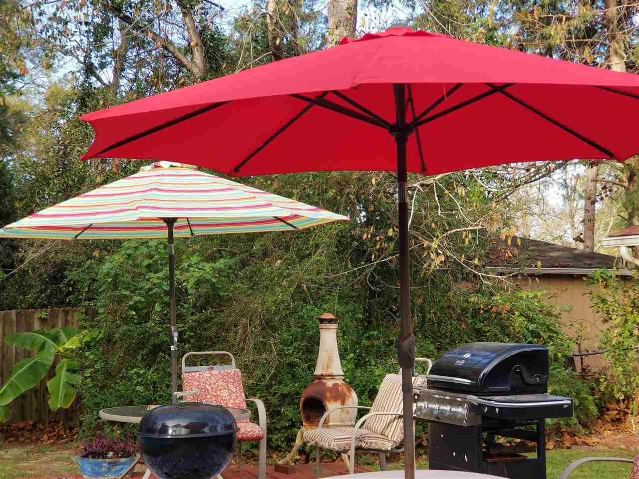 3206 Riddle Drive Tallahassee, FL 32309 - Photo 19 of 25 Gallery Image 19