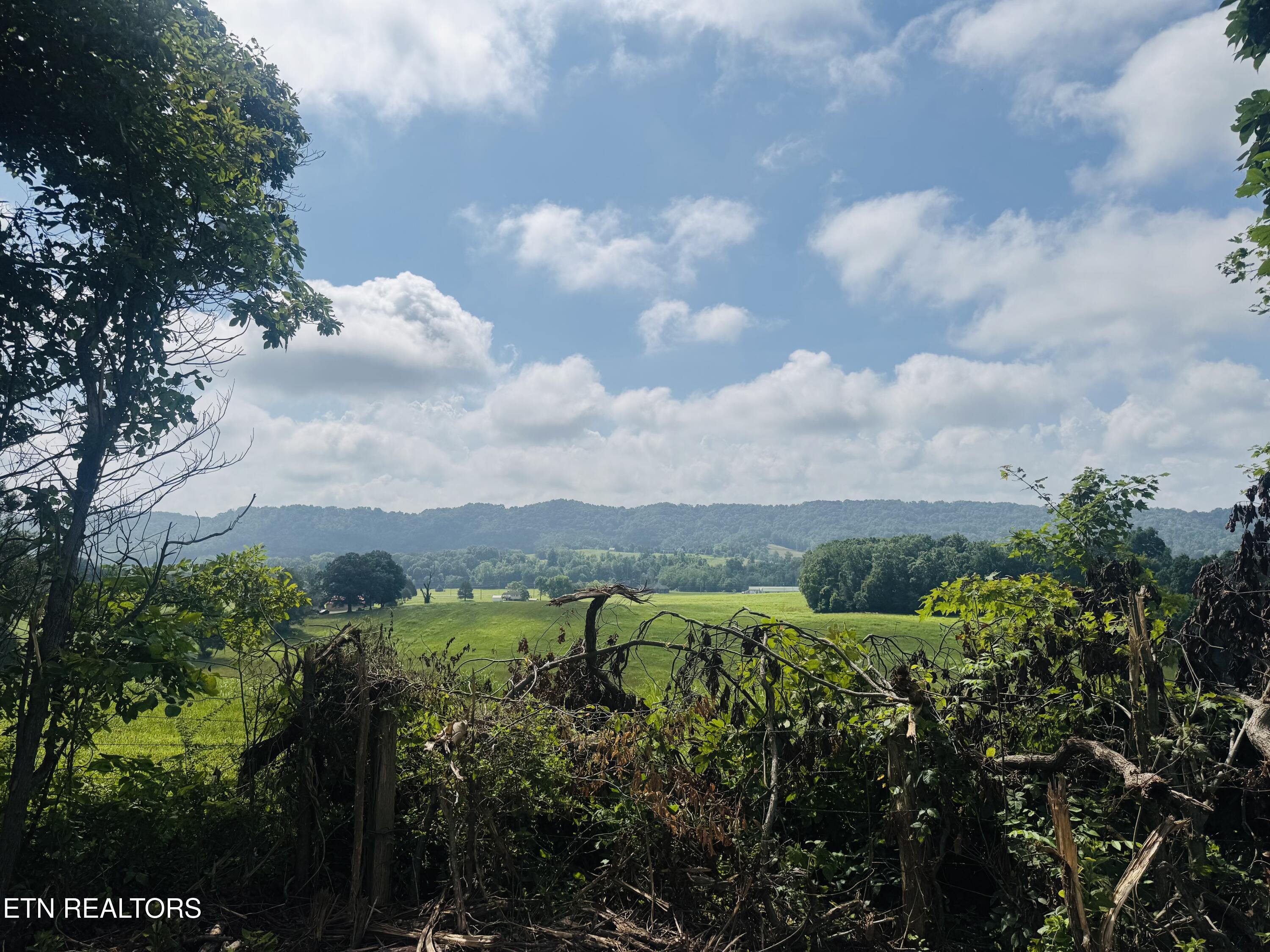 1 Mill Creek Road Andersonville, TN 37705 - Photo 14 of 26 IMG_0947