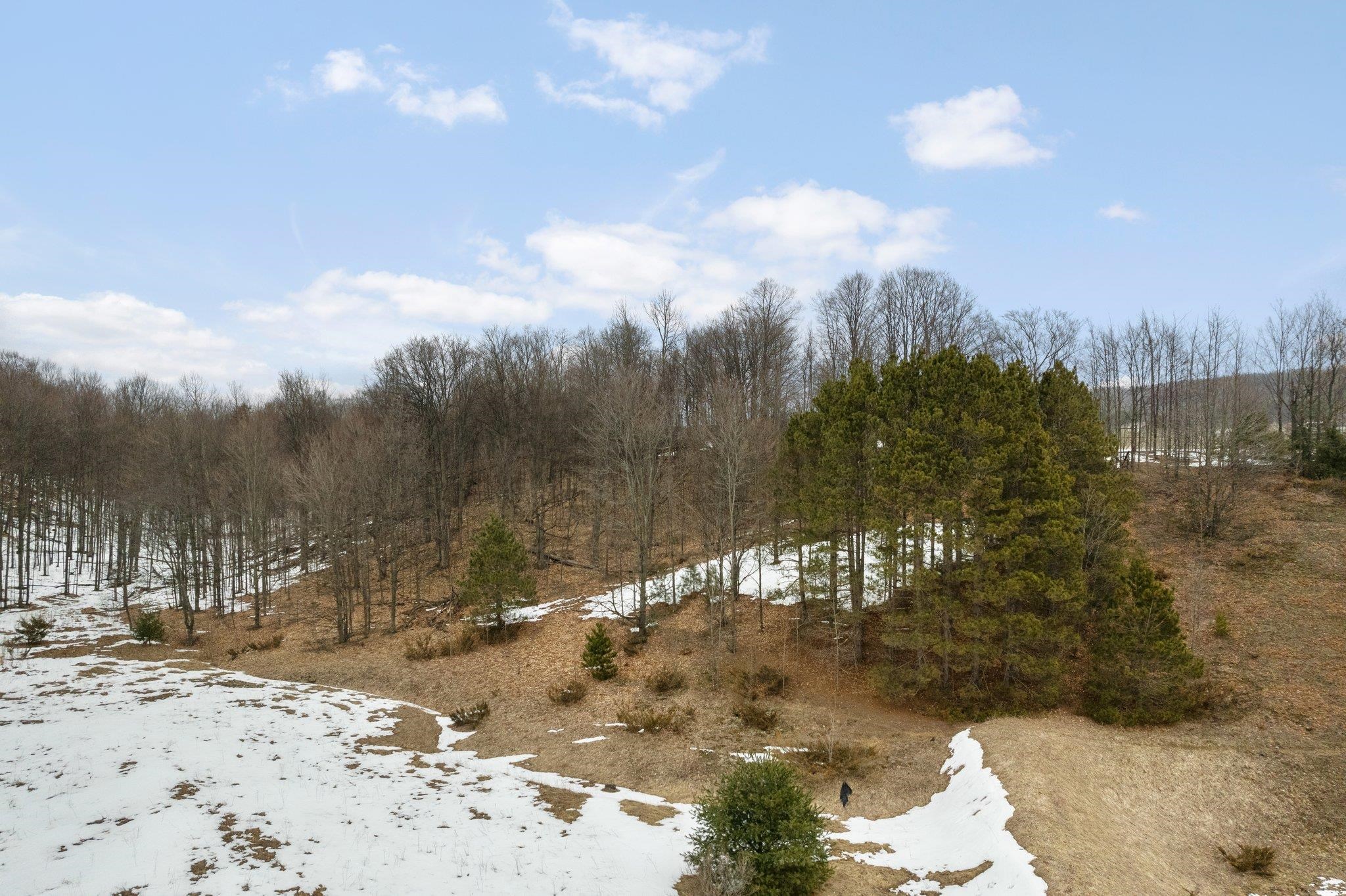5 East Meander Lane Cedar, MI 49621 - Photo 12 of 36