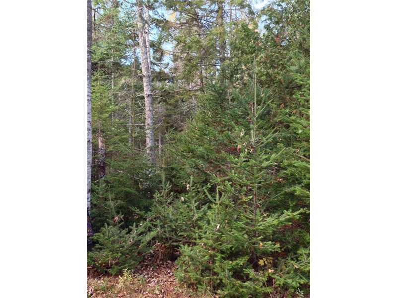 4 Whispering Brook Road Bar Harbor, ME 04609 - Photo 2 of 5 Land/Lot.