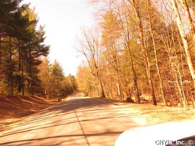 Lot 2 Elpis Road Cleveland, NY 13042 - Photo 5 of 8 Gallery Image 5