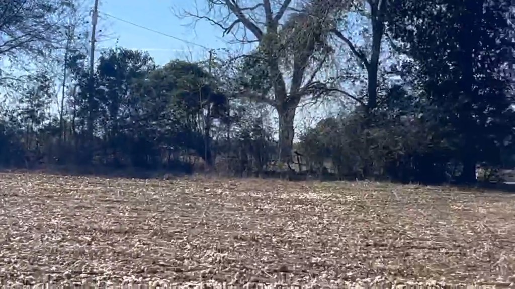 0 Draughon Road Gordon, AL 36343 - Photo 7 of 8